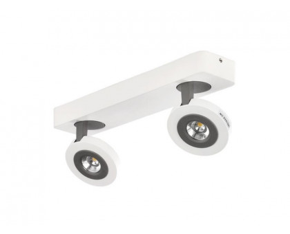 Спот AZZARDO ENZO 2 LED AZ0670