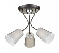 Стельовий світильник FREYA ODRI FR5030CL-03B