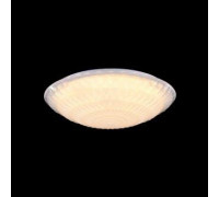 Стельовий світильник FREYA LAURA FR6688-CL-L36W