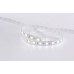 LED стрічка COLORS 60-5050-24V-IP33 16.8W RGB+4000K 5м (D560RGBNW-24V-12mm)