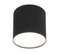 Точечный светильник NOWODVORSKI 6526 POINT PLEXI LED BLACK M