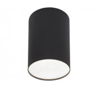Точечный светильник NOWODVORSKI 6530 POINT PLEXI BLACK L