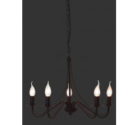 Люстра TRIO COUNTRY R1198-24