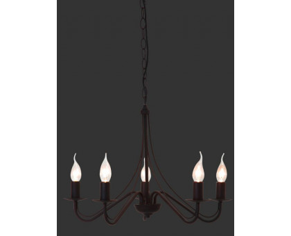 Люстра TRIO COUNTRY R1198-24