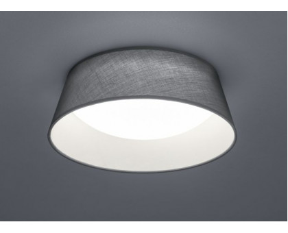 Стельовий світильник TRIO PONTS R62871211