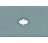 Стельовий світильник TRIO CAMILLUS R62921001