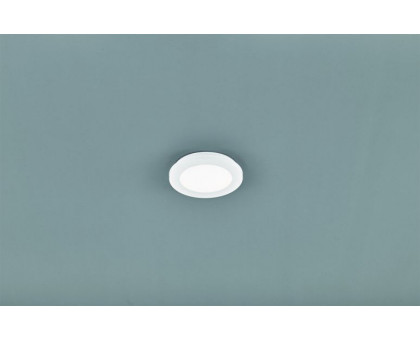 Стельовий світильник TRIO CAMILLUS R62921001