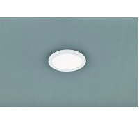 Стельовий світильник TRIO CAMILLUS R62921501
