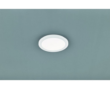 Стельовий світильник TRIO CAMILLUS R62921501
