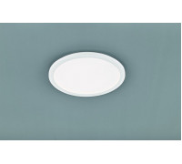 Стельовий світильник TRIO CAMILLUS R62922401