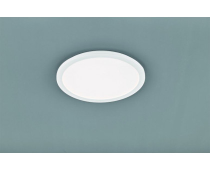 Стельовий світильник TRIO CAMILLUS R62922401