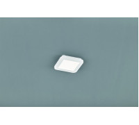 Стельовий світильник TRIO CAMILLUS R62931001