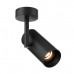Спот ZUMA LINE TORI SL2 20015-BK