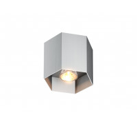 Точковий світильник ZUMA LINE POLYGON CL 1L 20035-Al