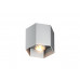 Точковий світильник ZUMA LINE POLYGON CL 1L 20035-Al
