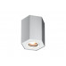 Точковий світильник ZUMA LINE POLYGON CL R 20077-AL