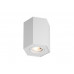 Точковий світильник ZUMA LINE POLYGON CL R 20077-WH