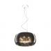 Люстра ZUMA LINE CRYSTAL P0076-06X-F4FZ